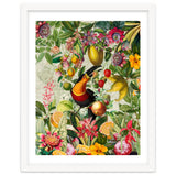 Toucan vintage jungle 1 thumbnail