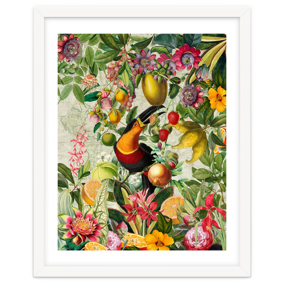 Toucan vintage jungle 1