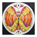Clock butterfly (Print Only) thumbnail