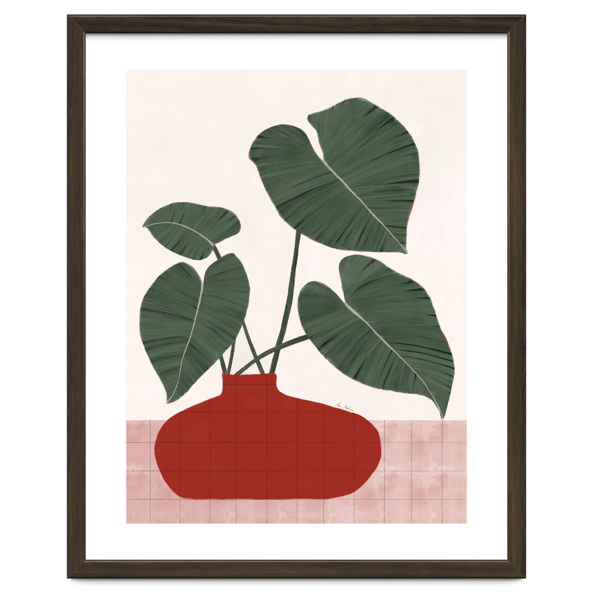 Philodendron Gloriosum plant