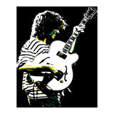 Pat Metheny American Jazz Guitarist Legend in Pop Art (Print Only) thumbnail