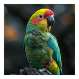 Vibrant Amazon Parrot Perched On A Branch (Print Only) thumbnail
