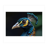 Close-up of a Peacock’s Head (Print Only) thumbnail