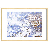 Coral Blooming thumbnail