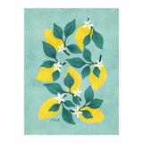 Lemon Blossom (Print Only) thumbnail