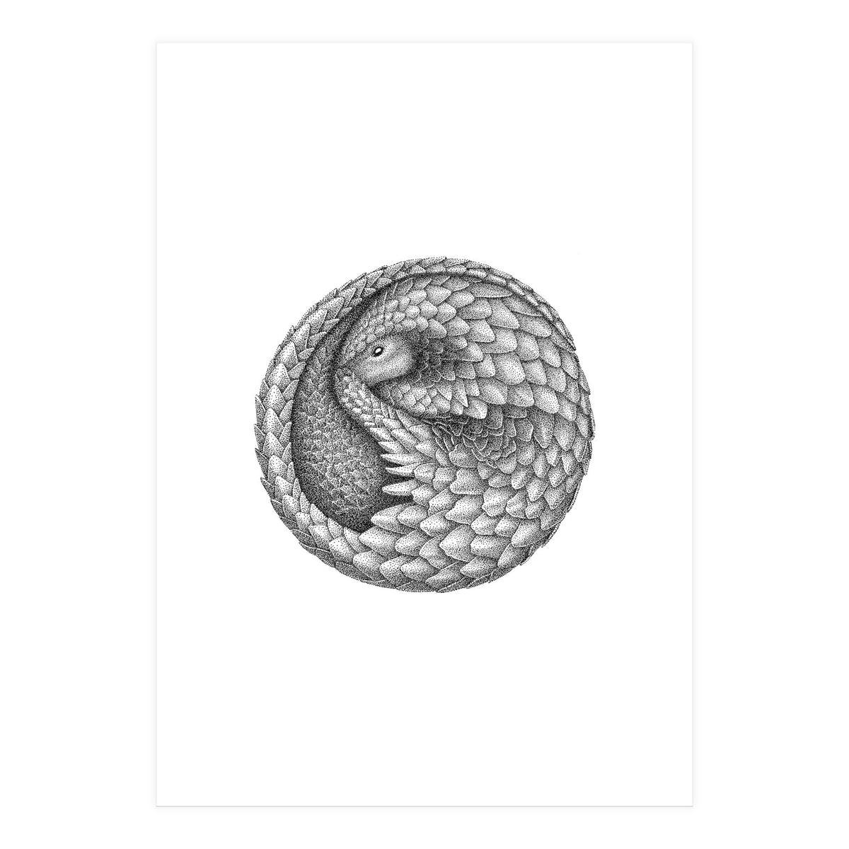 Pangolin no. 2 (Print Only)