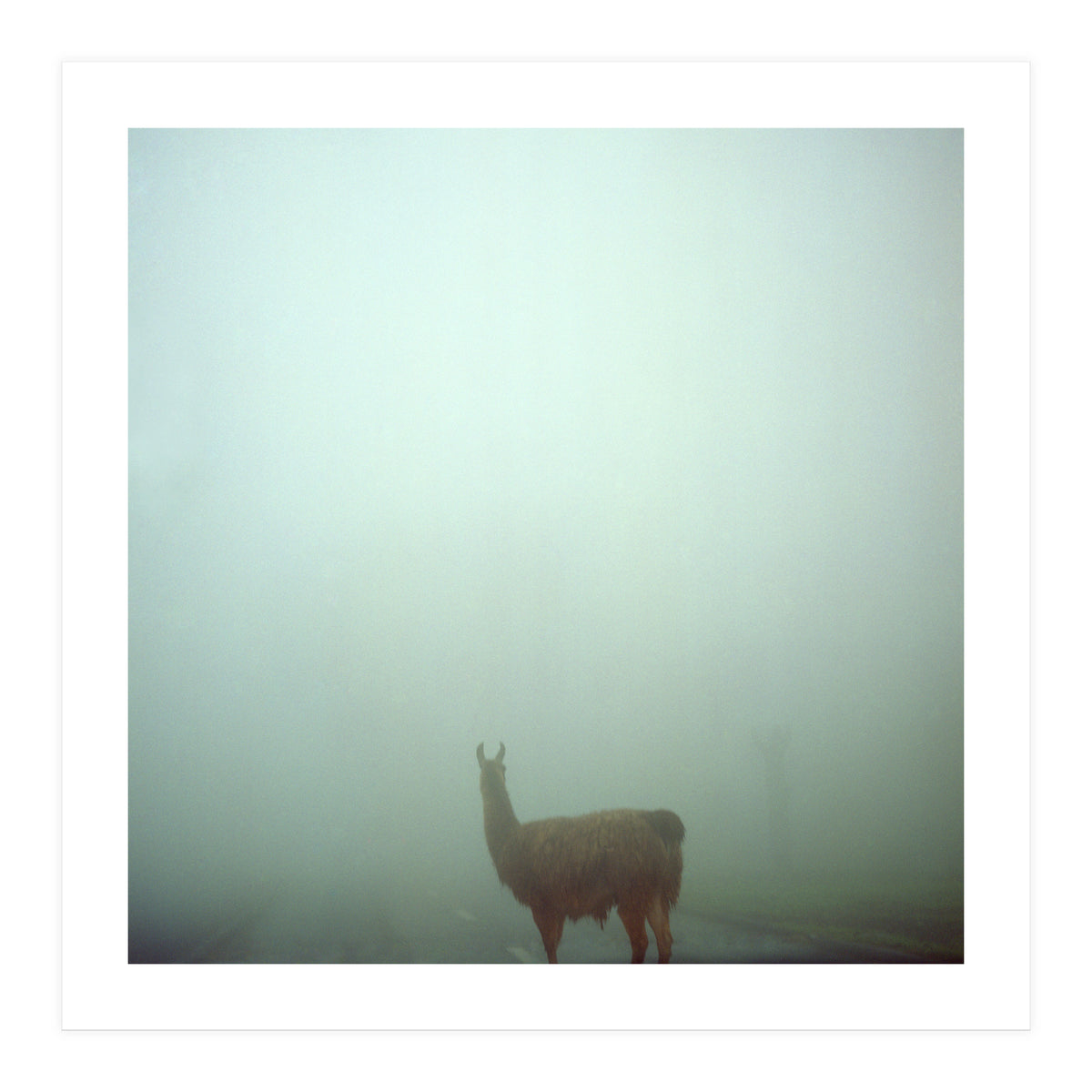 Silence of breath - 04 (Print Only)