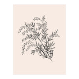 Acacia Botanical illustration (Print Only) thumbnail