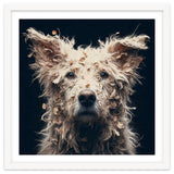 Old Dog 06 thumbnail