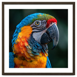 Close Up Of A Colorful Macaw Parrot thumbnail