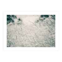 Walking Through Long Grass (Print Only)