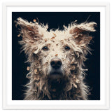Old Dog 06 thumbnail