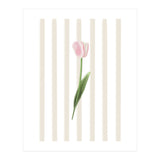 Single Tulip (Print Only) thumbnail