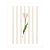Single Tulip (Print Only)