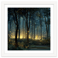 Enchanted Midnight Forest with Glowing Fireflies