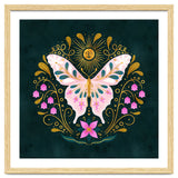Butterfly And Sun thumbnail