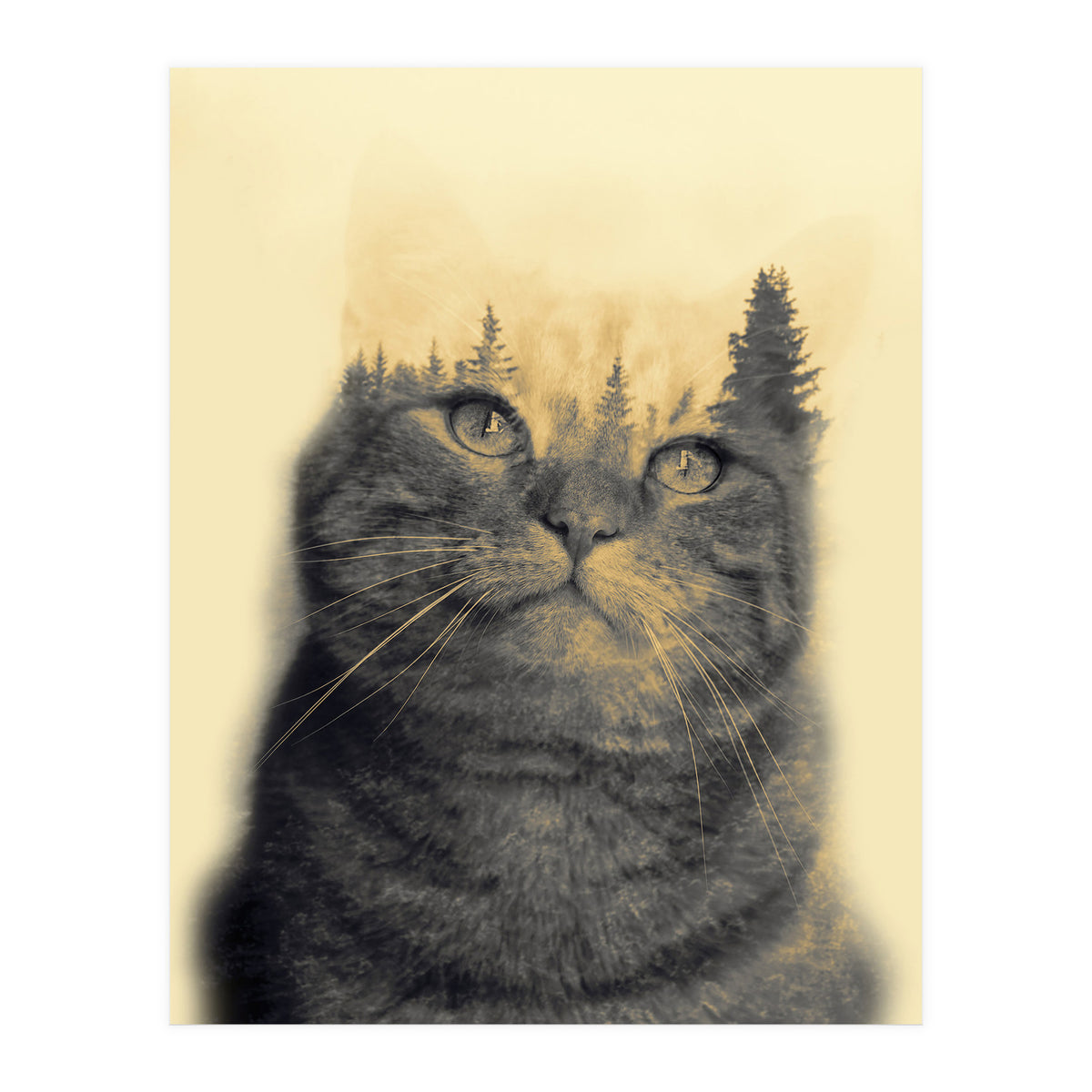 Cat double exposure (Print Only)