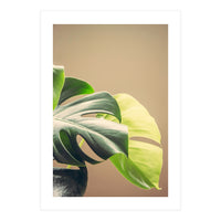 Dark And Light (Print Only)