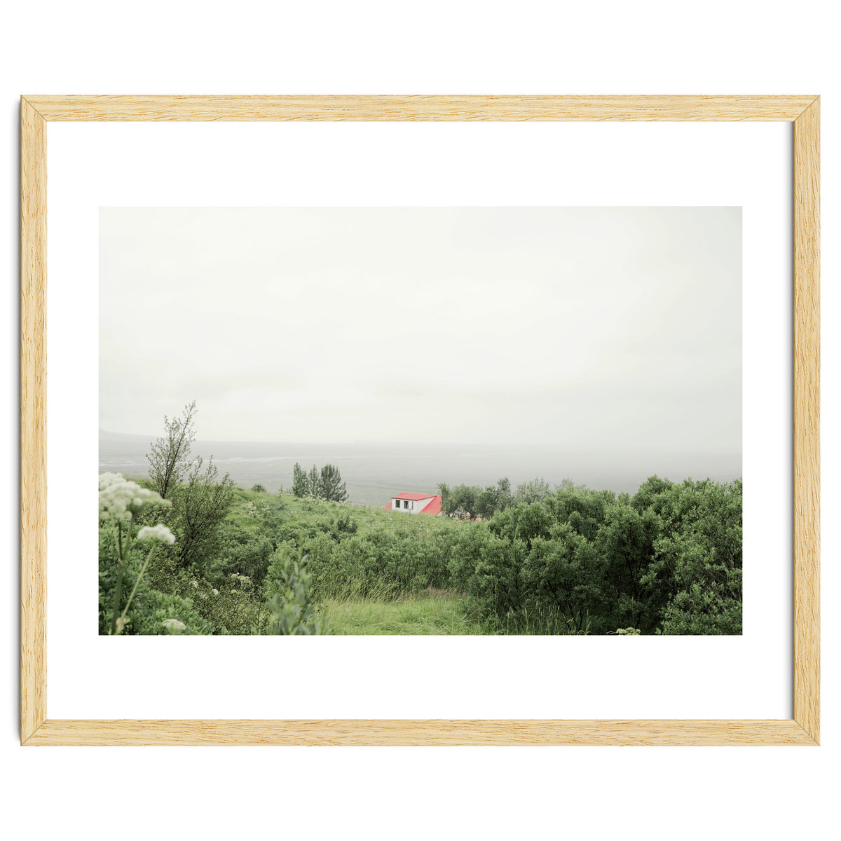 Red Roof house in between the summer green field - Iceland