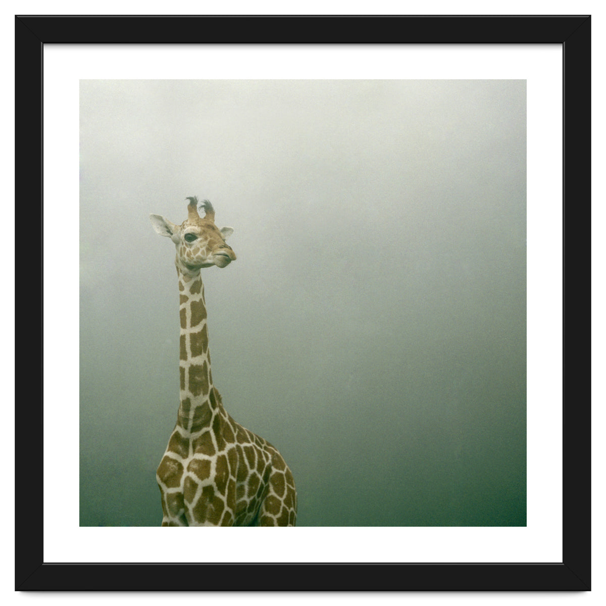 Silence of breath - 08