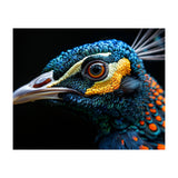 Close Up Of A Peacock Bird Head Eye (Print Only) thumbnail