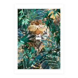 Hip hop tiger in the jungle (Print Only) thumbnail