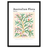 Australian Flora: Wax Flower thumbnail