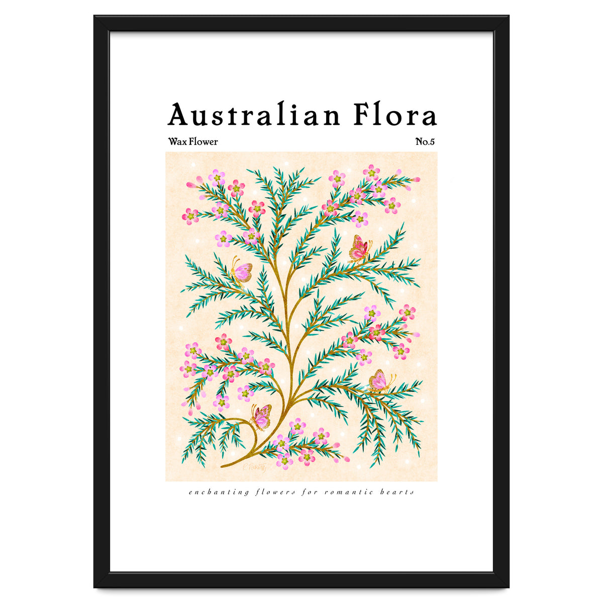 Australian Flora: Wax Flower