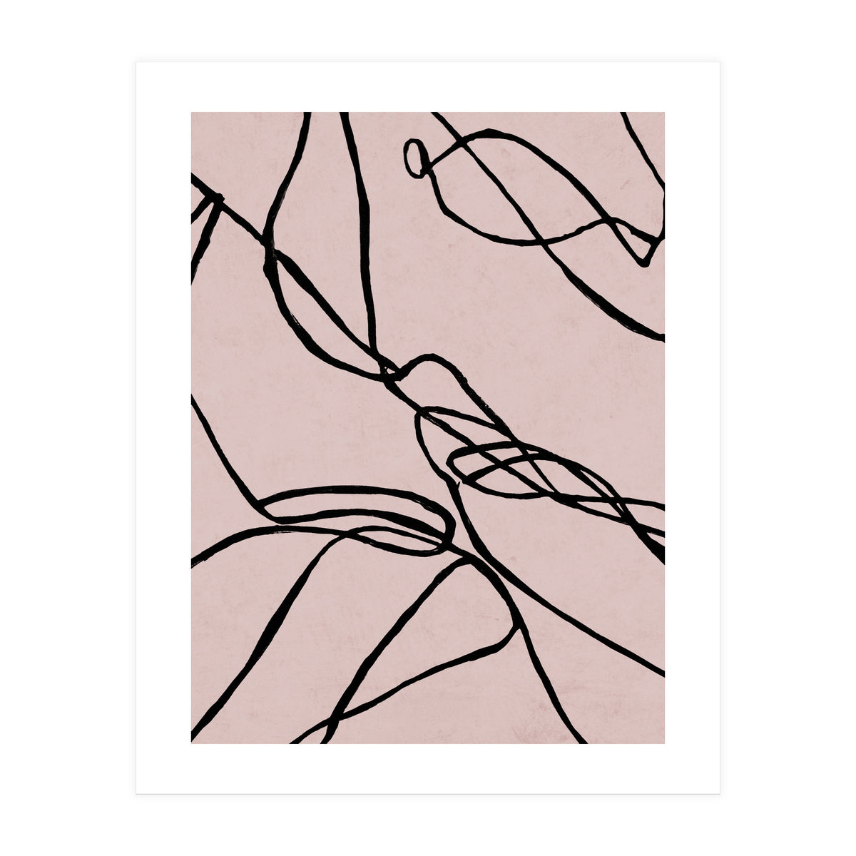 Lines on Rose (Print Only)