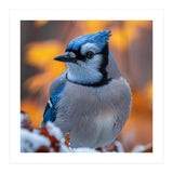 Blue Jay Bird In Winter Snowfall And Leaves (Print Only) thumbnail