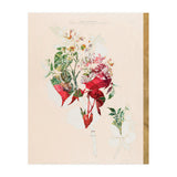 The First Plant · Aufbluehen (Print Only) thumbnail