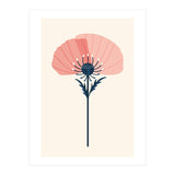 Pink Half Poppy (Print Only) thumbnail