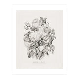 Currier & Ives – Rose of May (1870) (Print Only) thumbnail