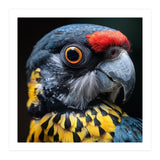 Close-up Portrait of a Vibrant Parrot (Print Only) thumbnail