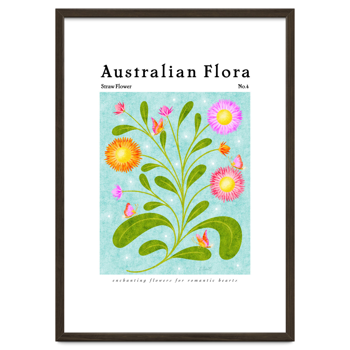 Australian Flora: Straw Flower