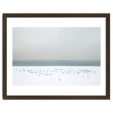 Seagulls in the winter snow beach thumbnail