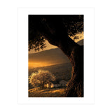 The Hill (Print Only) thumbnail