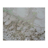 Life And Souls (Print Only) thumbnail