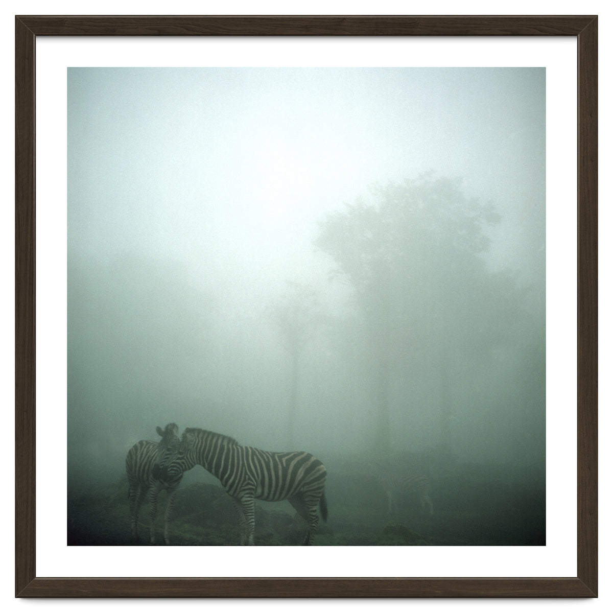 Silence of breath - 15