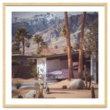 Palm Springs Pink II thumbnail