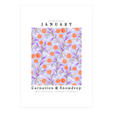 Carnation & Snowdrop January Birth Flower (Print Only) thumbnail