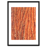 Tree Bark thumbnail