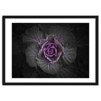 Backyard Flowers No 108 Color Version