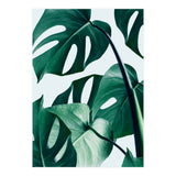 Monstera Tropical Photography Digital Art, Minimal Nature Jungle Botanical Leaves (Print Only) thumbnail