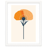 Orange Half Poppy thumbnail