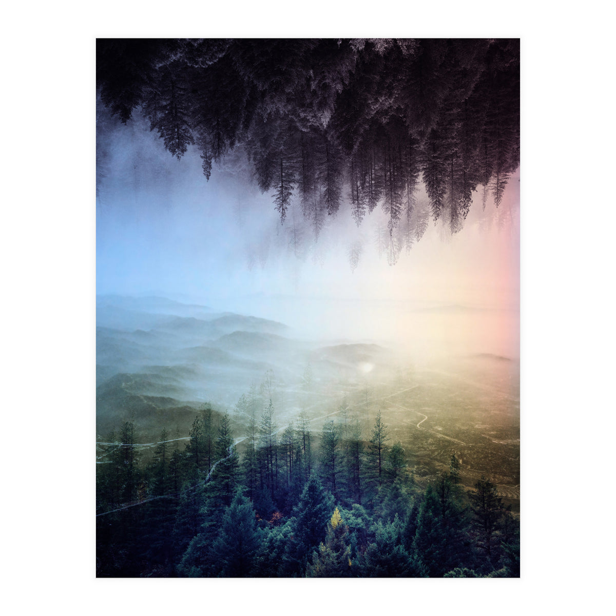Magic Woods (Print Only)