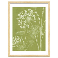 Wildflowers III