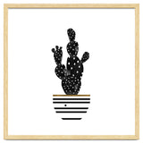 Black Cactus thumbnail