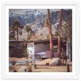 Palm Springs Pink II thumbnail