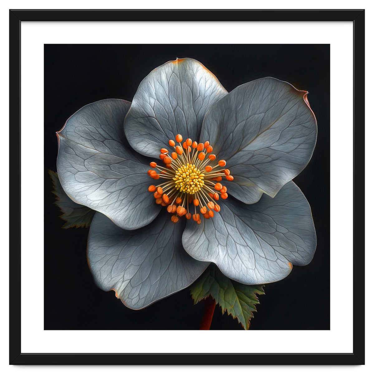 Hellebore | Silver Magic